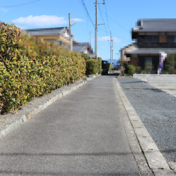 前面道路