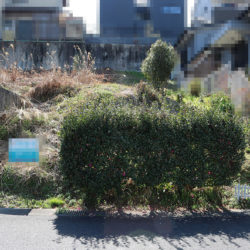 草津市追分南3丁目 建築条件なし