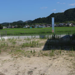 栗東市林